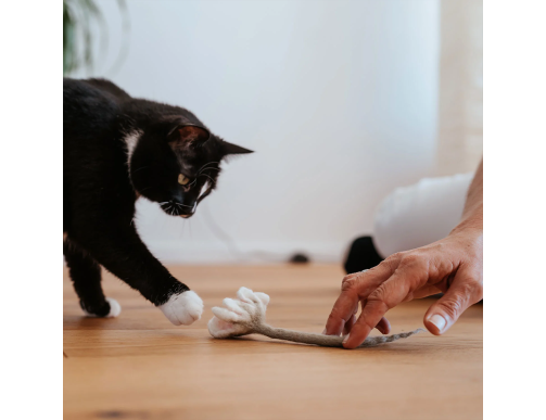 JOUET CHAT MARGUERITE LAINE JOUET CHAT MARGUERITE LAINE