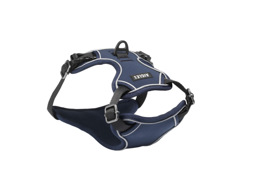 harnais pour chien aigle bleu marine