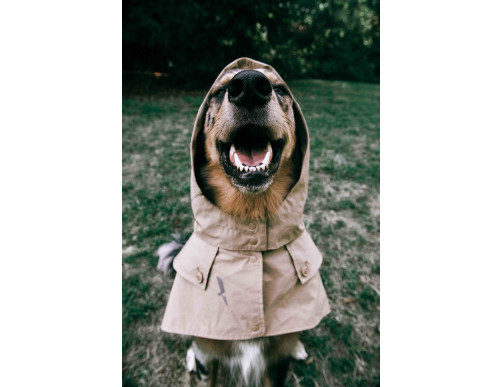 TRENCH AIGLE IMPERMEABLE OSIER TRENCH AIGLE IMPERMEABLE OSIER