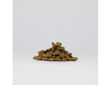 PLANCTON - FEUILLETTES DE THON 70GR