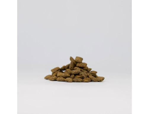 PLANCTON - FEUILLETTES DE THON 70GR