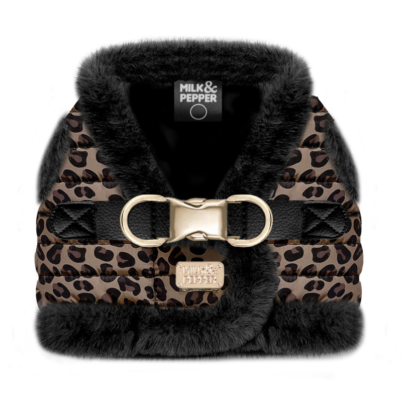 HARNAIS ASHA LEOPARD