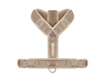 harnais doré taupe beige pour chien