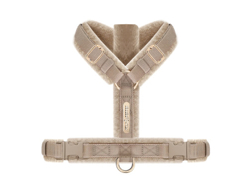 harnais doré taupe beige pour chien
