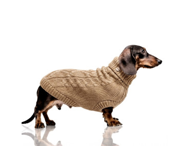 PULL MONTGOMERY TOFFEE TECKEL