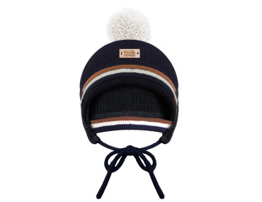 bonnet pour chien