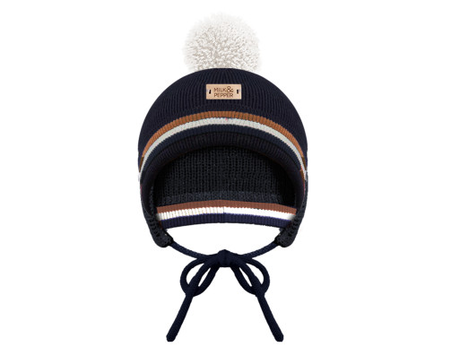 bonnet pour chien