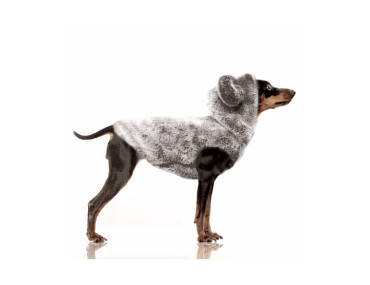 SWEAT YANA OURSON GRIS