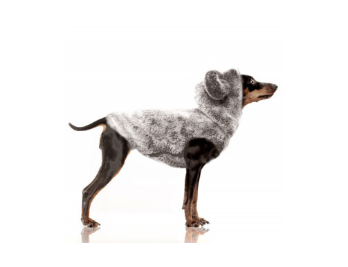 SWEAT YANA OURSON GRIS