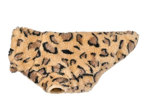 51 TURTLE TEDDY TECKEL LEOPARD 51 TURTLE TEDDY TECKEL LEOPARD