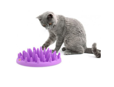 GAMELLE ANTI GLOUTON NORTHMATE CHAT