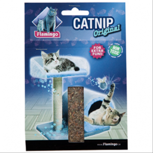 Cat Grass : Herbe à chat à faire pousser - 120 g
