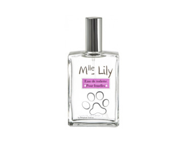 PARFUM MELLE LILY 50ML