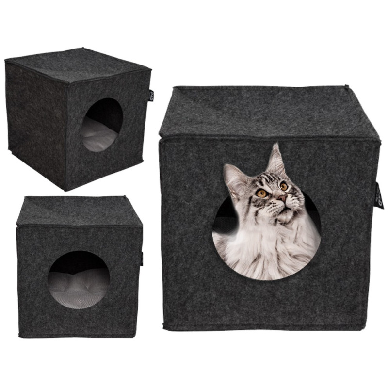 CUBE POUR CHAT