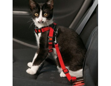 HARNAIS DE SECURITÉ POUR CHAT