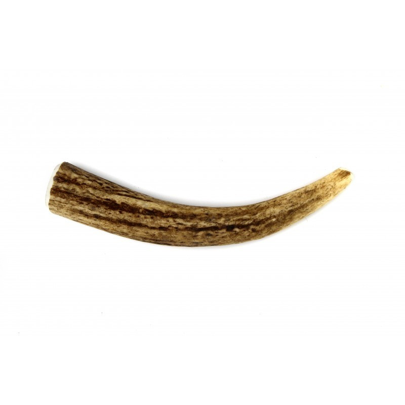 BOIS DE CERF À MACHER SMALL