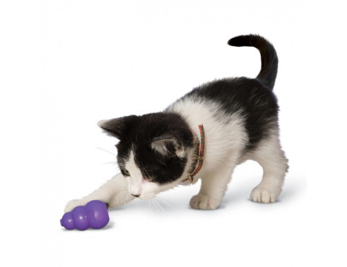 KITTY KONG KITTY KONG