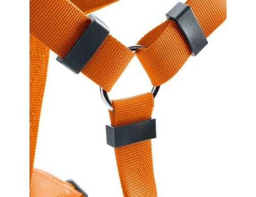 HARNAIS LONDON ORANGE HARNAIS LONDON ORANGE