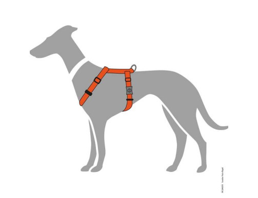 HARNAIS LONDON ORANGE HARNAIS LONDON ORANGE