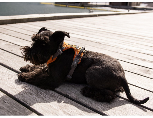 HARNAIS DOG COPENHAGEN COMFORT WALK PRO BLEU HARNAIS DOG COPENHAGEN COMFORT WALK PRO BLEU