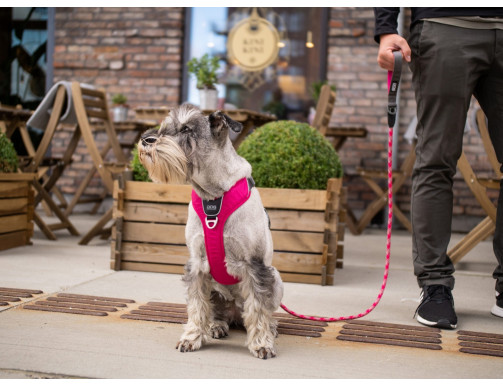 HARNAIS DOG COPENHAGEN COMFORT WALK PRO ROSE HARNAIS DOG COPENHAGEN COMFORT WALK PRO ROSE