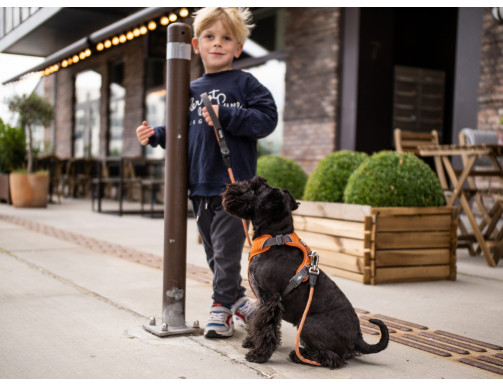 HARNAIS DOG COPENHAGEN COMFORT WALK PRO ROSE HARNAIS DOG COPENHAGEN COMFORT WALK PRO ROSE