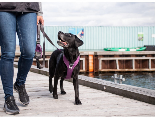 HARNAIS DOG COPENHAGEN COMFORT WALK PRO ROSE HARNAIS DOG COPENHAGEN COMFORT WALK PRO ROSE