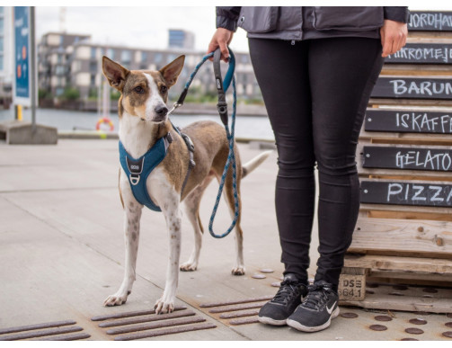 HARNAIS DOG COPENHAGEN COMFORT WALK PRO ROSE HARNAIS DOG COPENHAGEN COMFORT WALK PRO ROSE