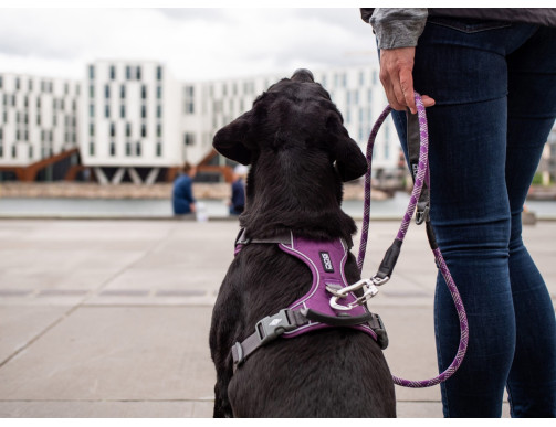 HARNAIS DOG COPENHAGEN COMFORT WALK PRO ROSE HARNAIS DOG COPENHAGEN COMFORT WALK PRO ROSE
