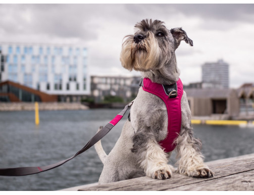 HARNAIS DOG COPENHAGEN COMFORT WALK PRO ROSE HARNAIS DOG COPENHAGEN COMFORT WALK PRO ROSE