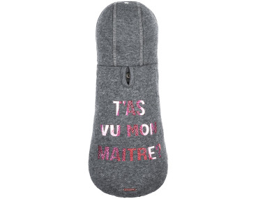 SWEAT A CAPUCHE T'AS VU MON MAITRE