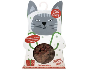 FRIANDISES DE NOEL POUR CHAT