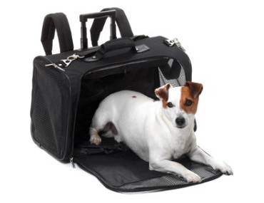 SAC SMART TROLLEY
