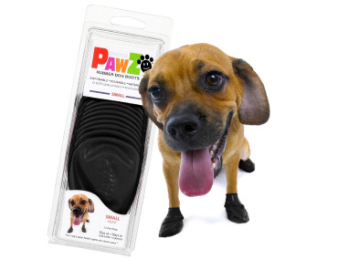 CHAUSSONS PAWZ S NOIR