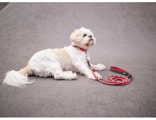 LAISSE URBAN ROPE ROUGE LAISSE URBAN ROPE ROUGE