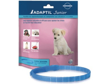 ADAPTIL COLLIER JUNIOR