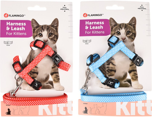 HARNAIS+LAISSE AIWA CHATON HARNAIS+LAISSE AIWA CHATON
