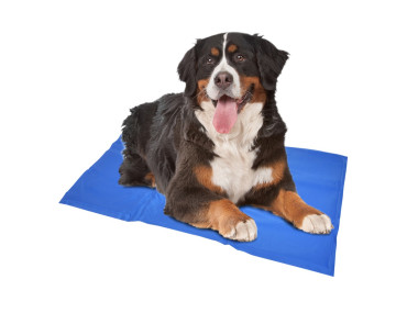 TAPIS RAFRAICHISSANT COOLING MAT