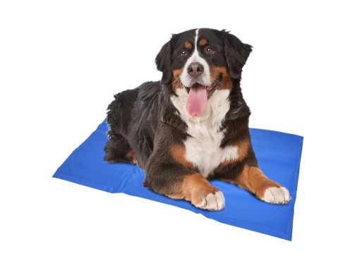 TAPIS RAFRAICHISSANT COOLING MAT