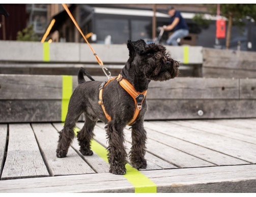HARNAIS DOG COPENHAGEN COMFORT WALK AIR ORANGE