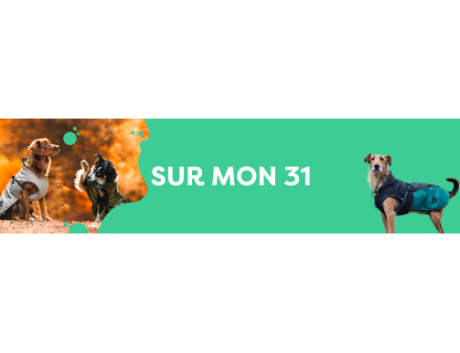 VETEMENT