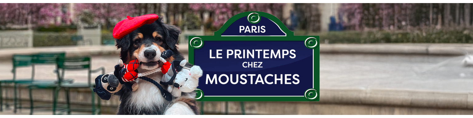 Printemps