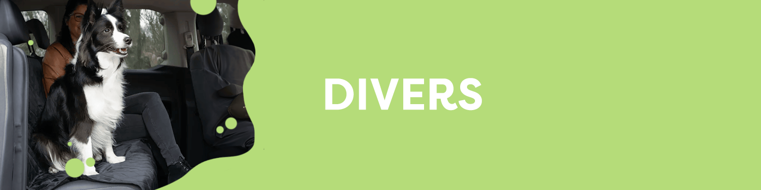 DIVERS BALADE