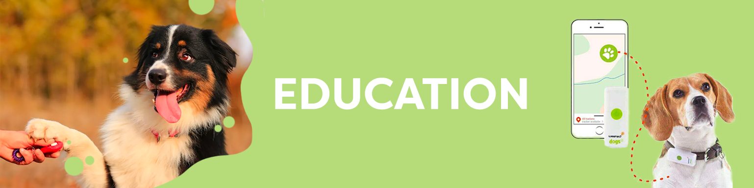 EDUCATION