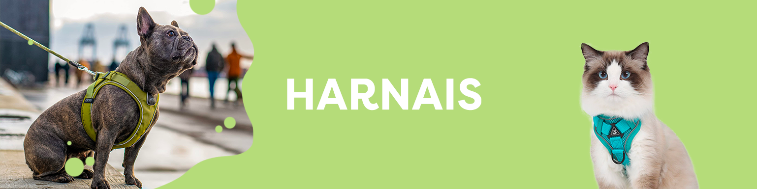HARNAIS