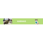HARNAIS