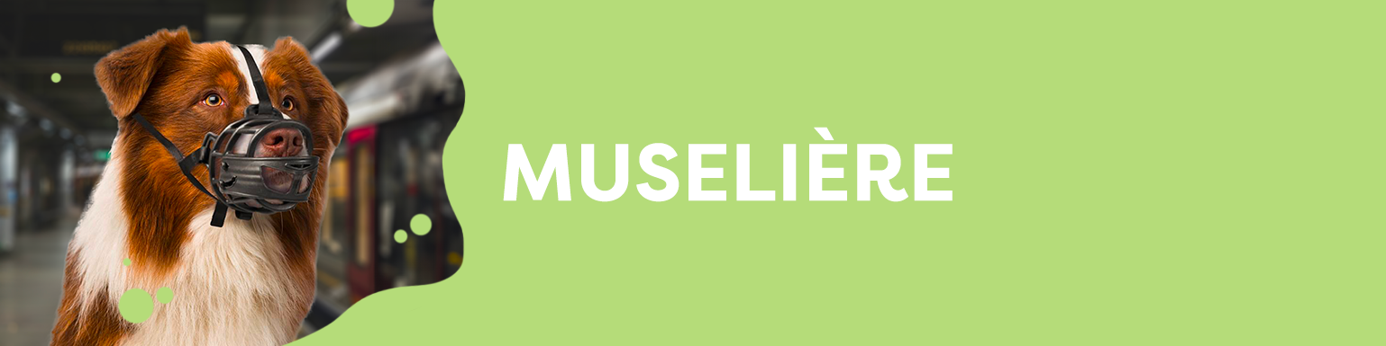 MUSELIERE