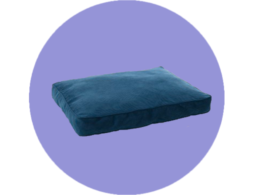 COUSSIN ET MATELAS