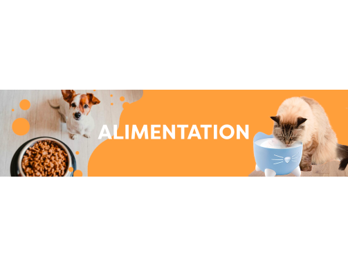 ALIMENTATION