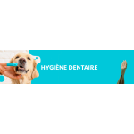 HYGIENE DENTAIRE